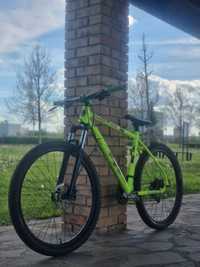 Exs Radikal al3| Hardtail