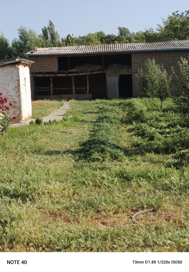Uchastka sotiladi Toshkent viloyat Piskent tumani andrefka qishlog'ida