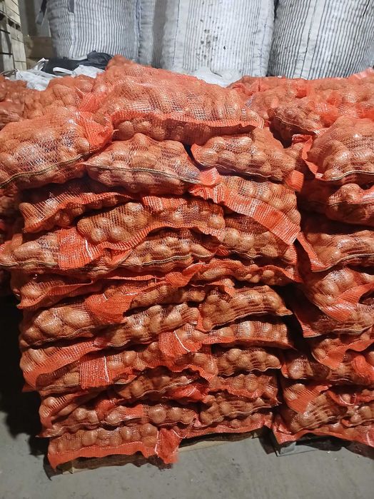 Cartofi furajer pt animale