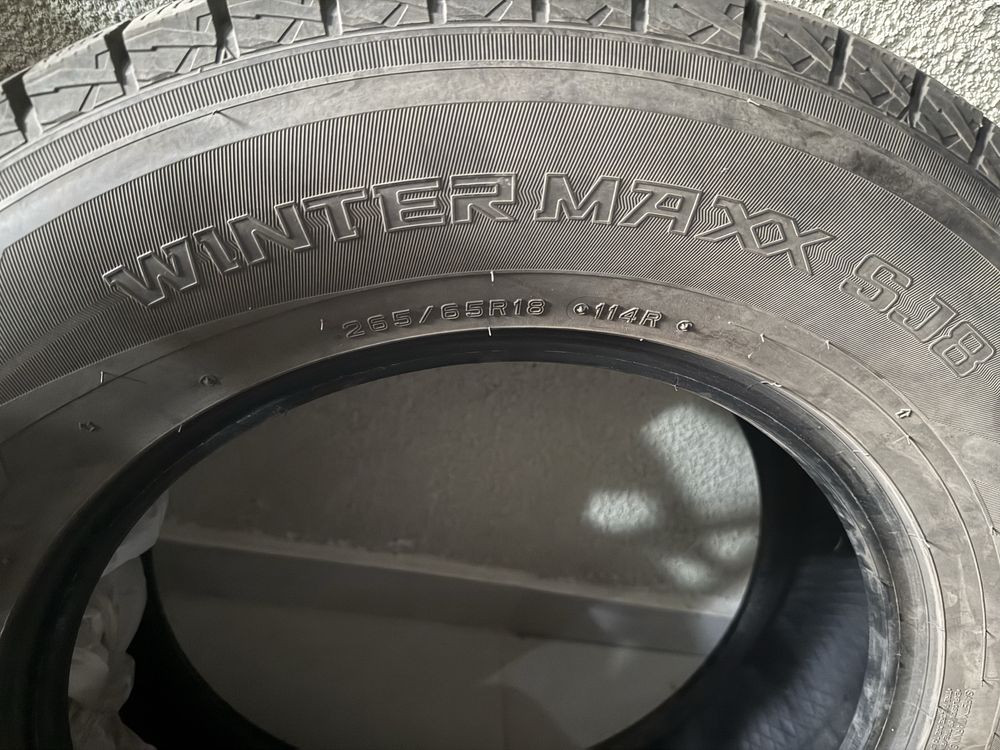 Зимние шины Dunlop