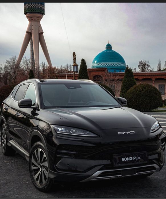 Black rent a car avto ijara
