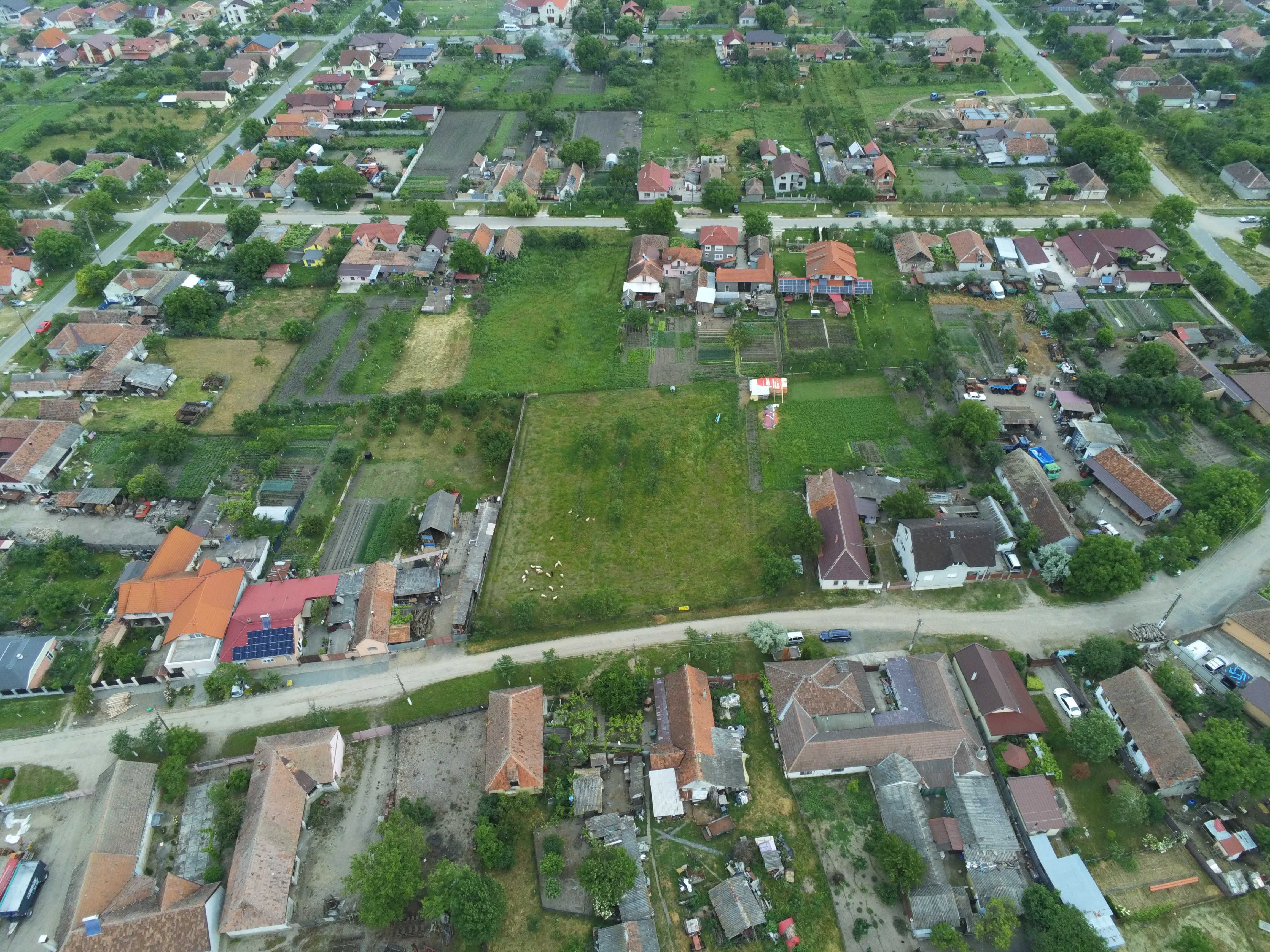 Persoana Fizica vand Teren Intravilan 3000 mp Loc. Sambateni jud. Arad