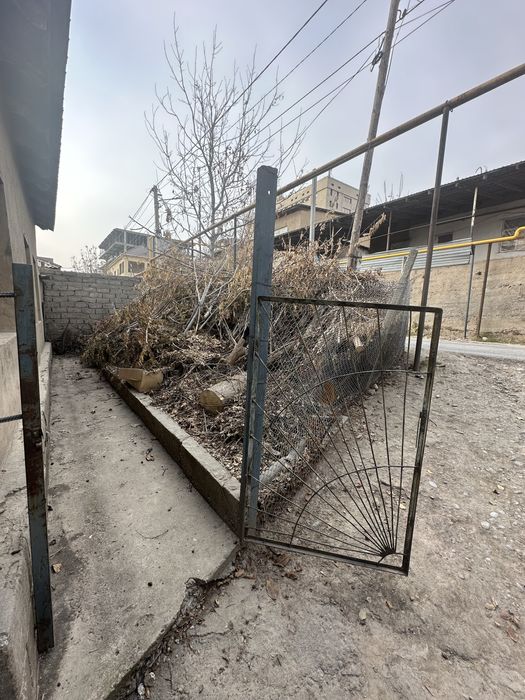 Отдам бесплатно драва