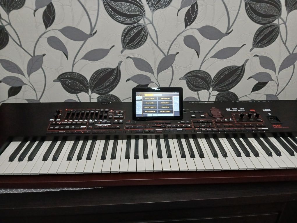 Korg PA4x x76 key în stare impecabilă, set inclus + altele