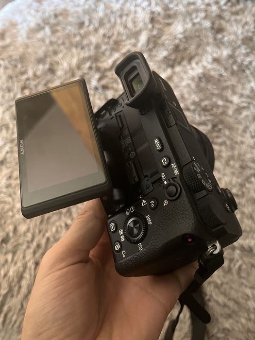Sony a6600 mirrorless