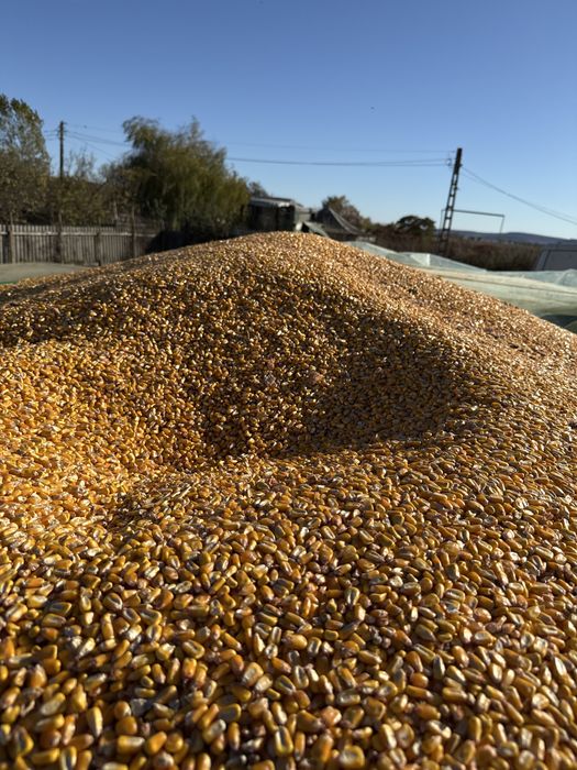 Legume si cereala de vanzare