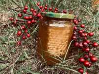 MIERE DE ALBINE Naturală 15 Ron
