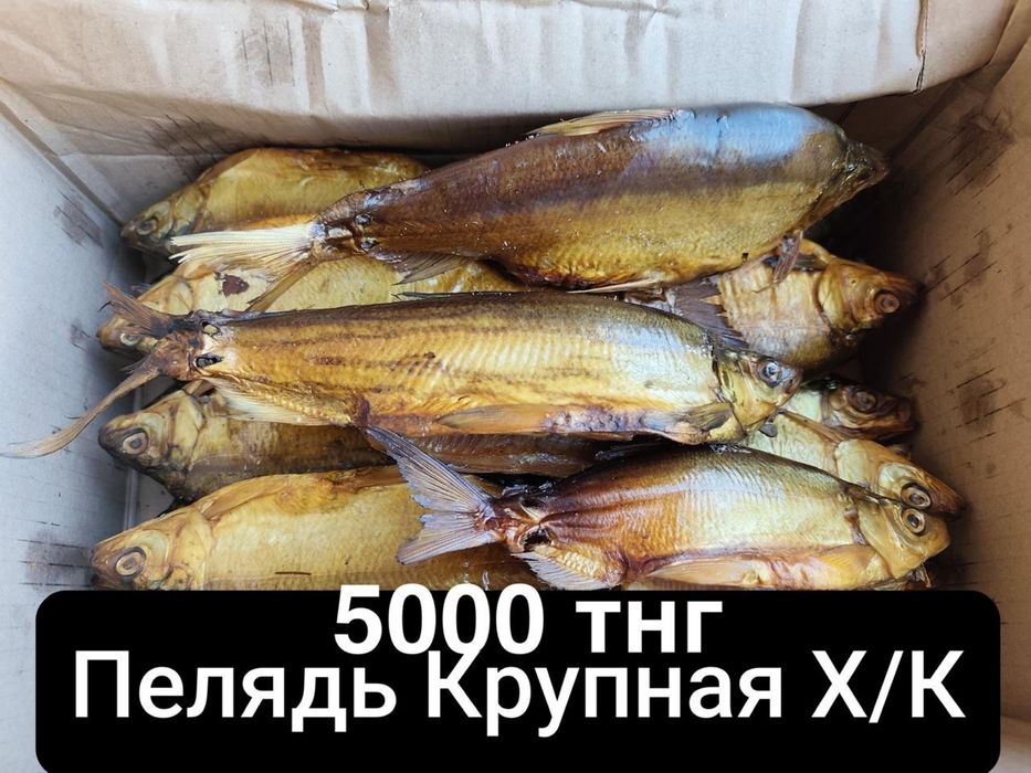 Рыба холодного/горячего копчения