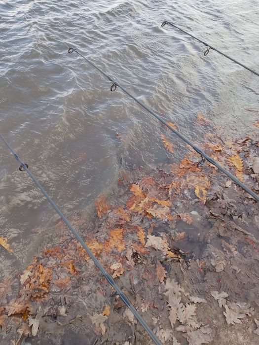 Комплект шаранджийски пръчки с макари