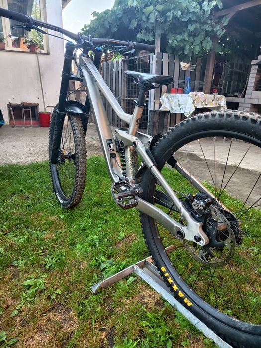 Schott gambler dowhil