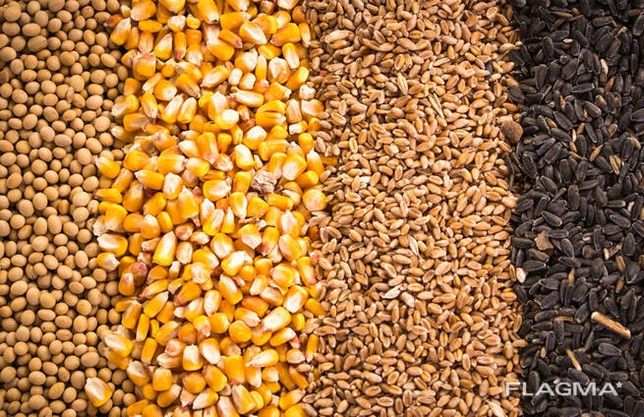Продам ячмень комбикорм зерно овёс пшеница отруби кукуруза зерно отход