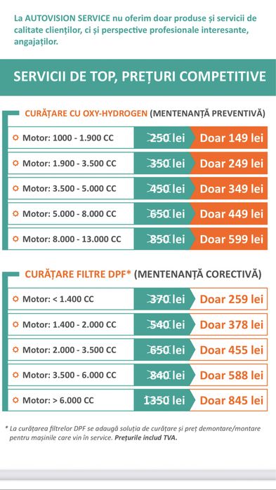 Curatare filtru particule DPF, catalizator