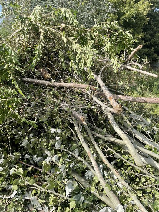 Қыстық Отын.Драва на зиму