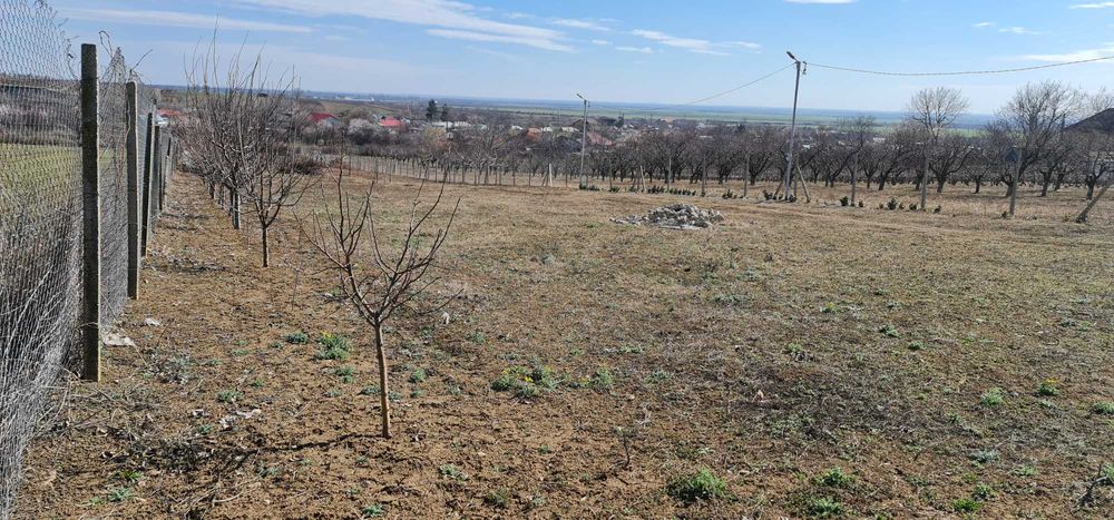 Teren intravilan, pozitie superba - 3800m2 cu Utilitati