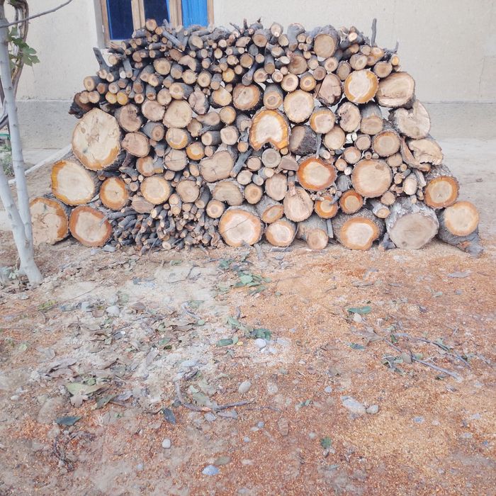 Утин сотилади иккимилон