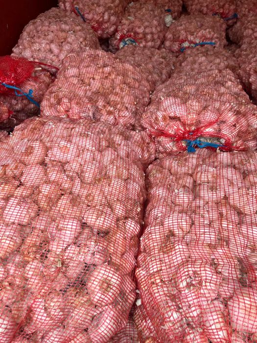 Vand usturoi de samanta