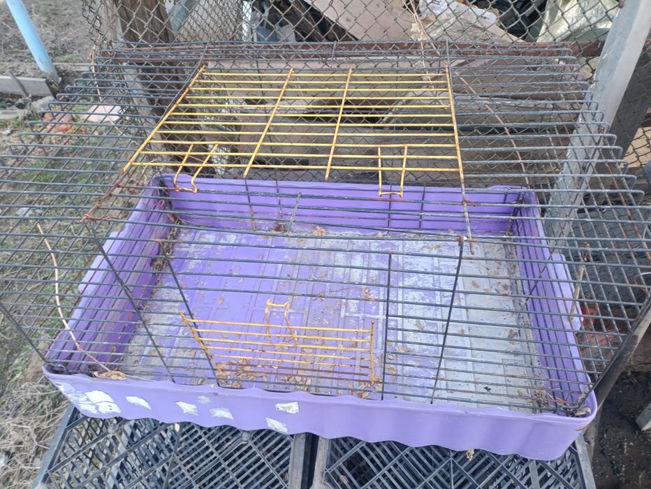 Клетка  60 * 40*  40