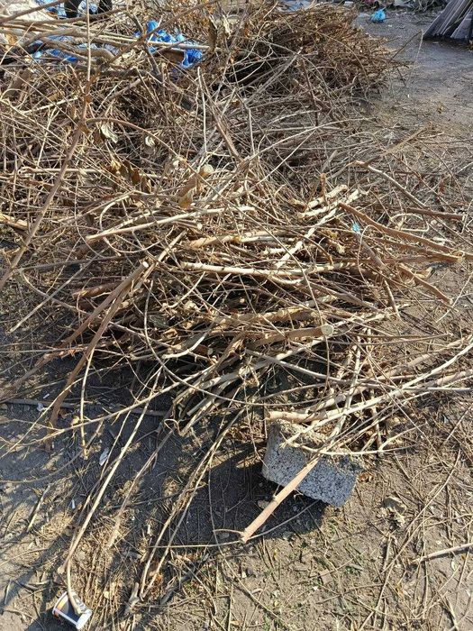 утин печкада екишга