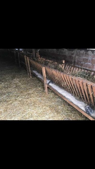 Продава се Къща в с. Кара Михал, Област Разград - 70 кв.м за 365 €/кв.м - Снимка #5