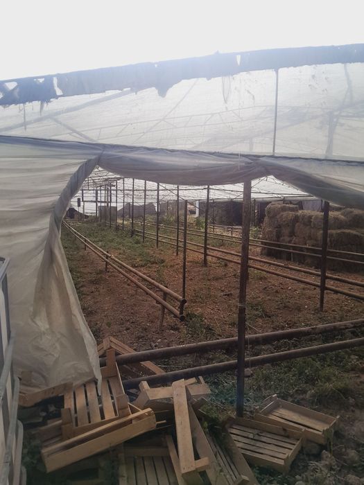 Teplitsa sotiladi продаём теплица