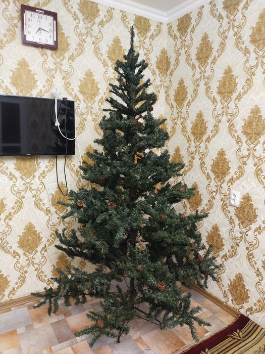 Продам елку за 20т.тнг