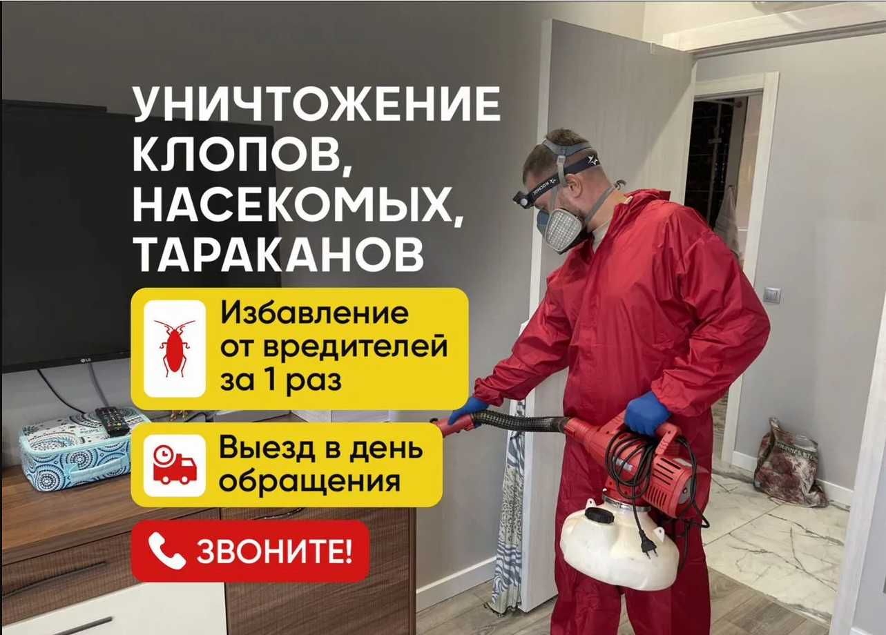 Dezinfeksiya Дезинфекция уничтожение насекомых клопов тараканов блох