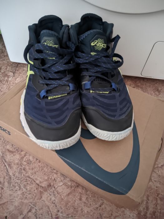 Asiks Metaris (Nishida)