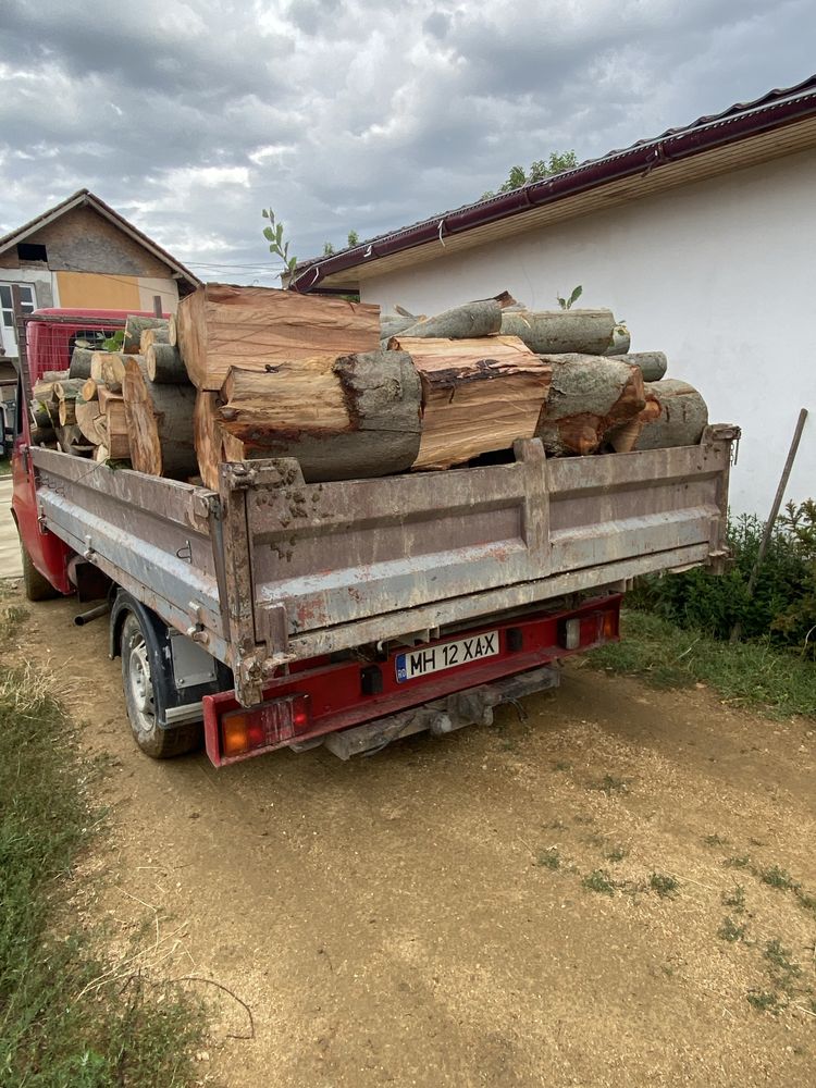 Vând lemne pentru foc