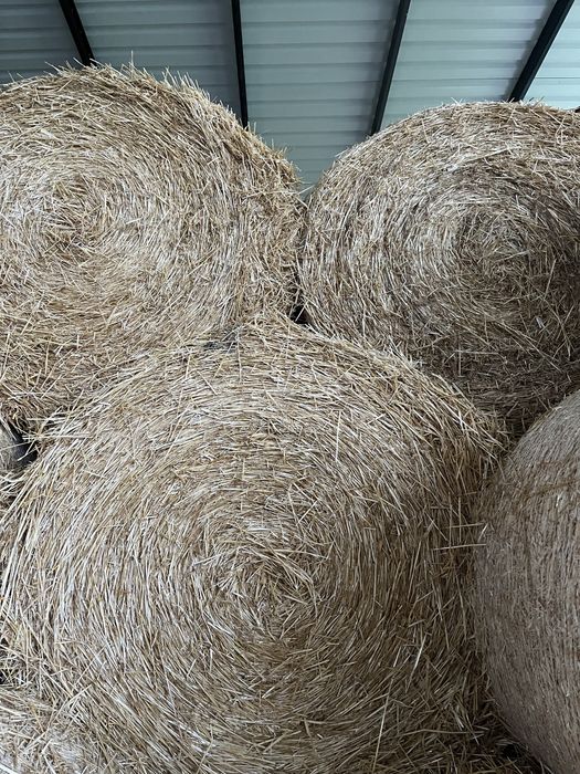 Бали слама пшеничена