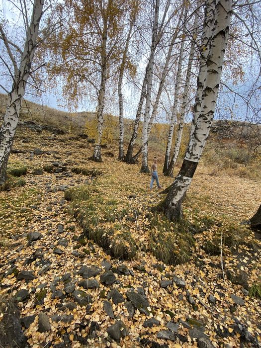 Продам участок в Бухтарме (Голубой залив)