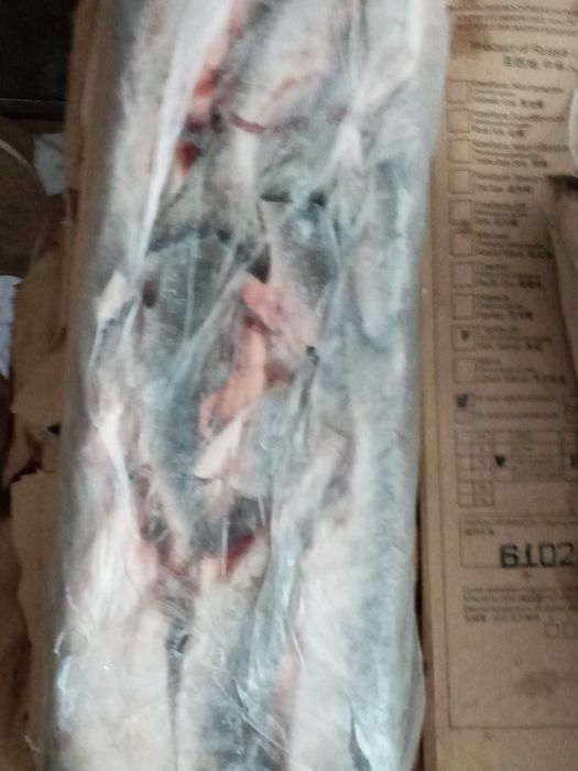 Горбуша потрашеная с головой, без головы. Прод упаковками. Дост.беспл