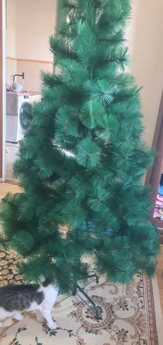 Ёлка продаётся 1.80
