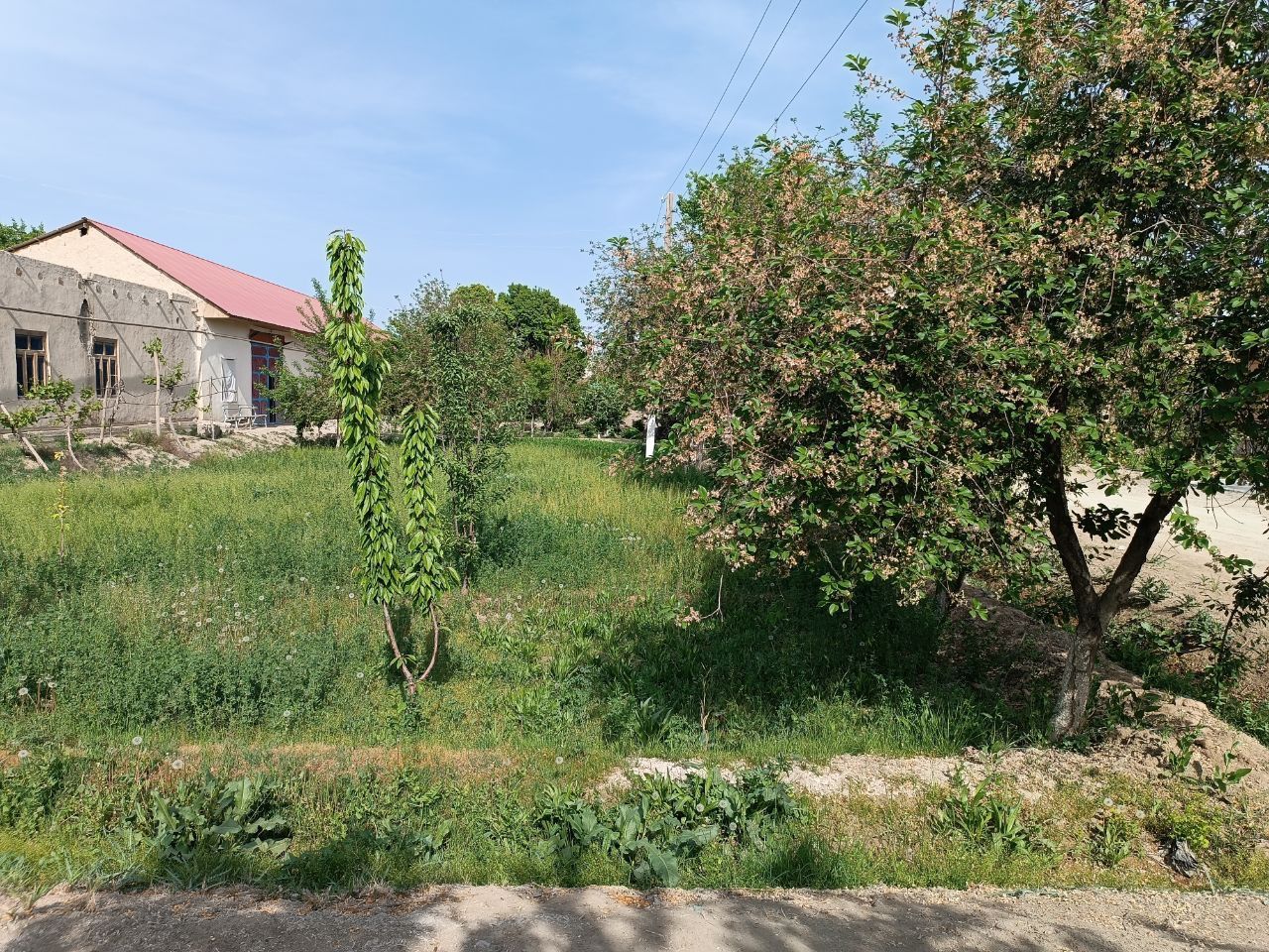 Hovli. Uy. 15 sotiq