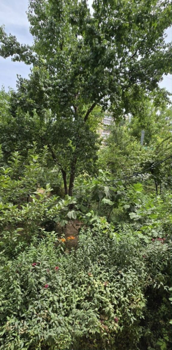 Продаётся квартира в центре без ремонта 1 этаж на Самарканд Дарвоза.