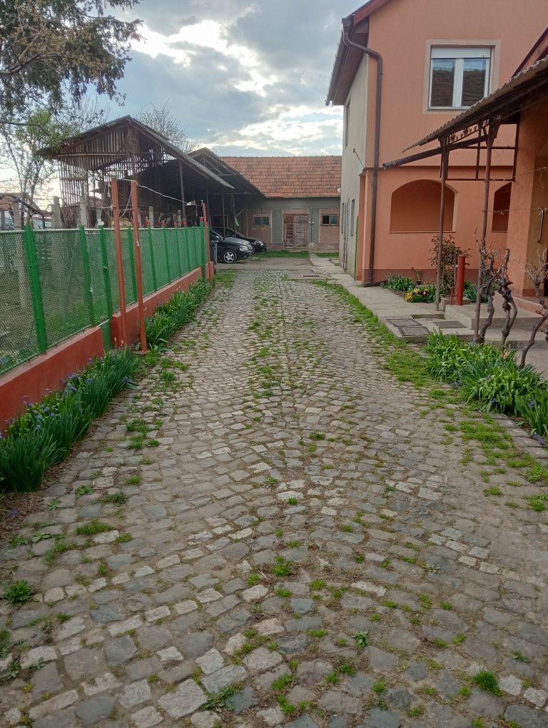 Vând casă familială în Biharia