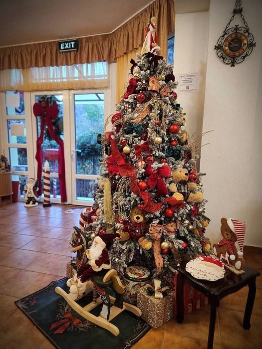 Pensiunea Emma libera de Revelion si Craciun