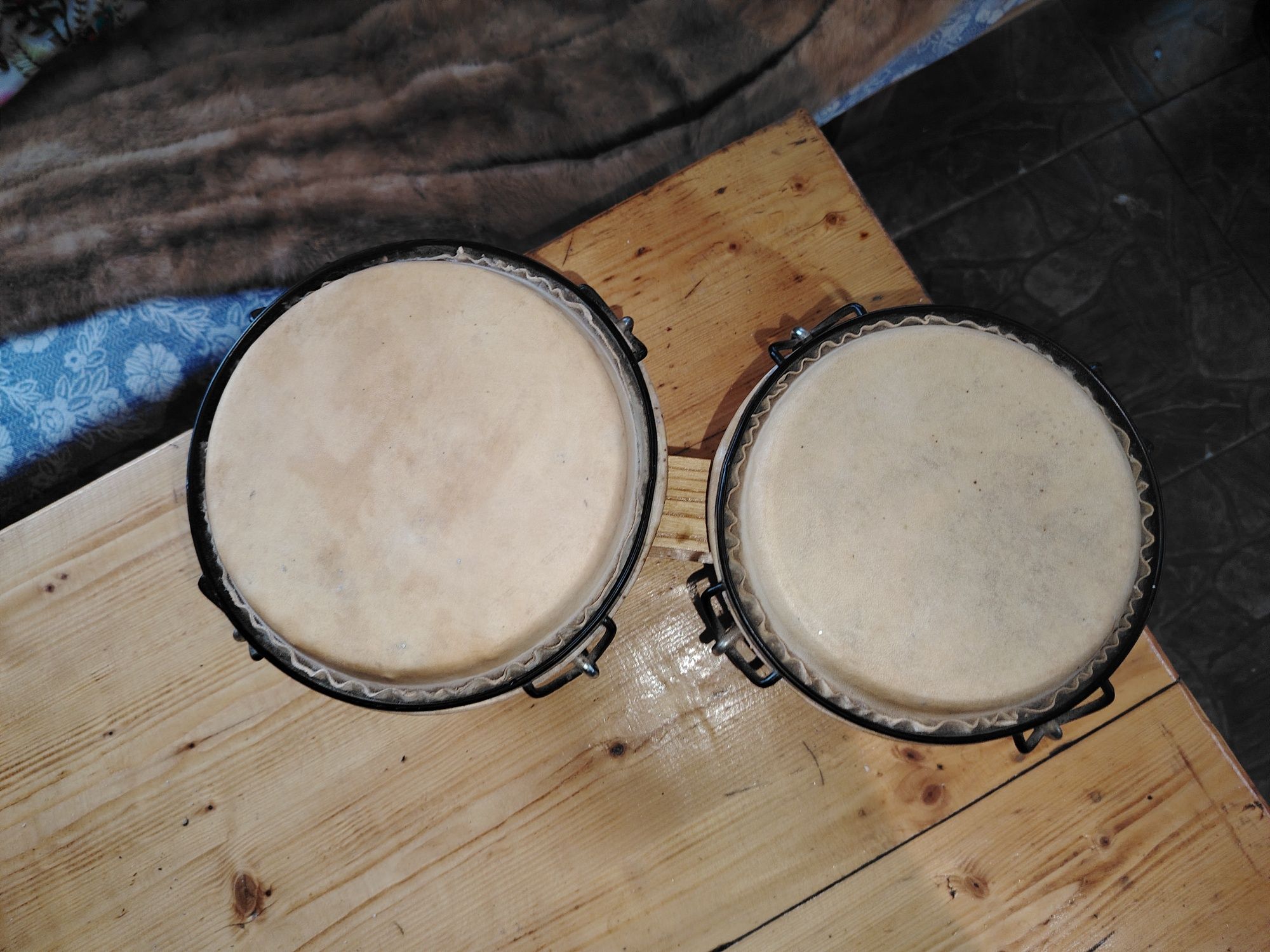 Bongo cubanez set 2