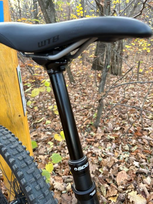 Santa Cruz Bronson C 2024