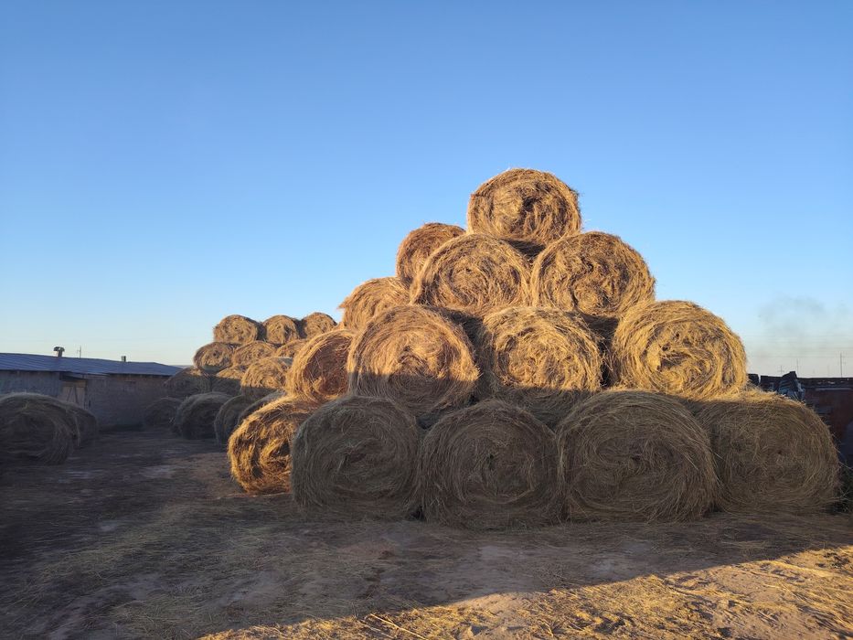 Руллон шоп сатылады Айтеке би ауданы Карабутак ауылы