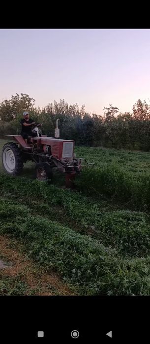 Traktor 25              .