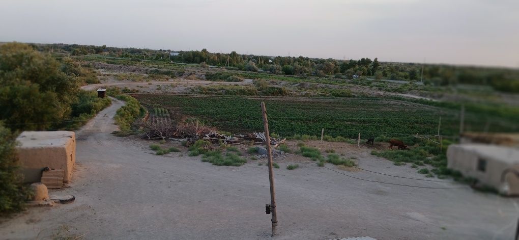 Beruniy   tumani