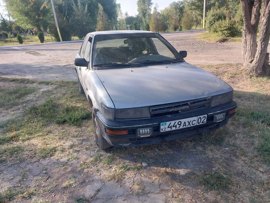 Таета каролла об.1.3