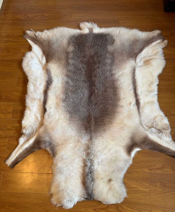 Blana naturala de ren , cumparata din Finlanda