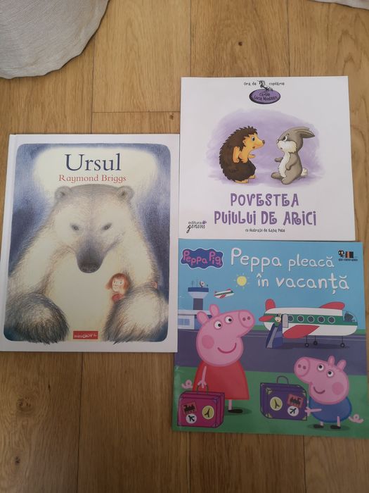 Carte Ursul Raymond Briggs