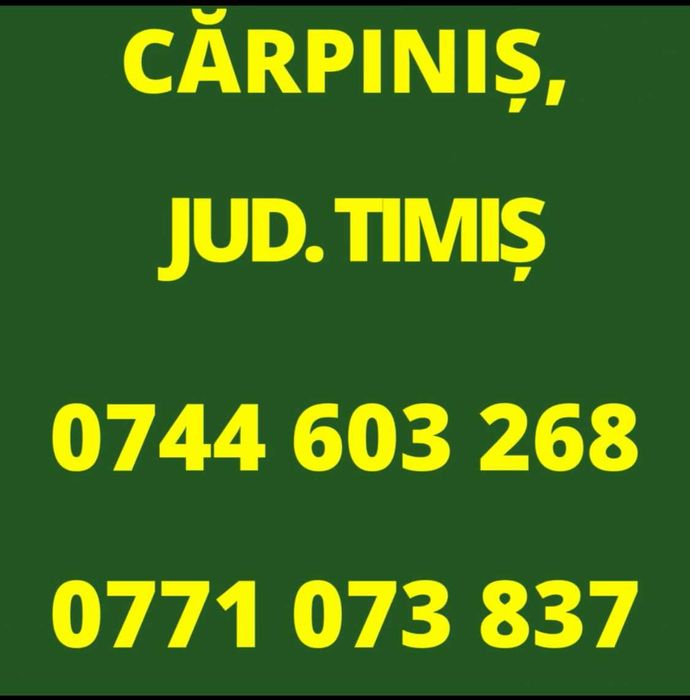 De ce să cumperi puicuțele direct din fermă avicolă Balagri?