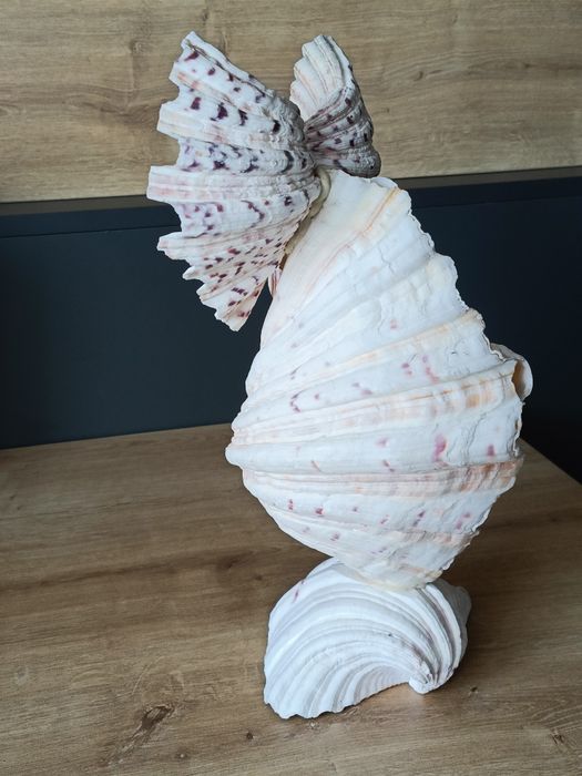 Statuetă bufniță din scoici marine