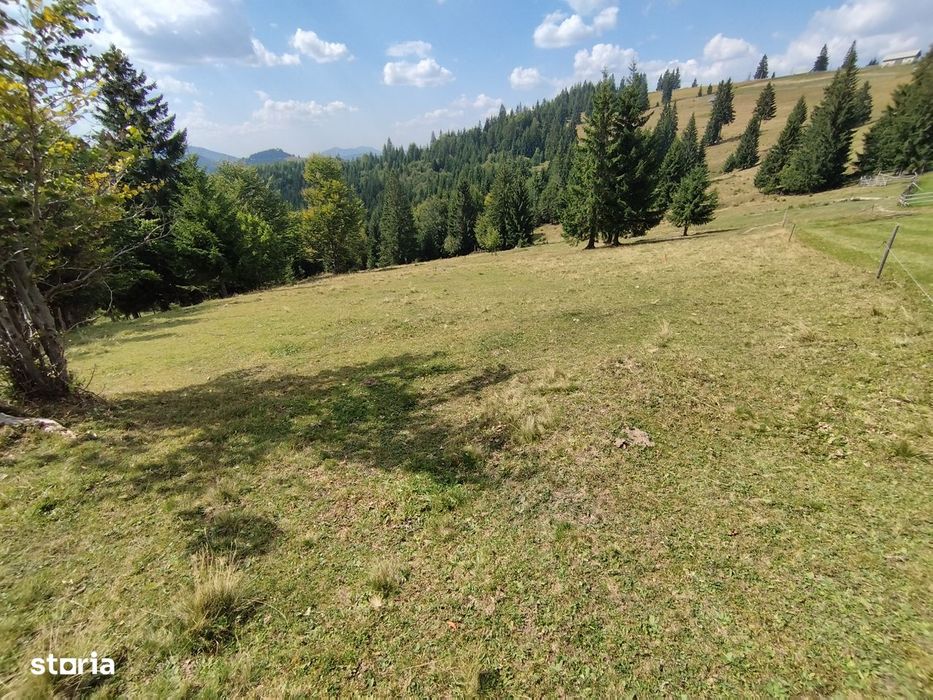 TEREN DE VÂNZARE – 2 parcele de 7 Ari – Pasul Tihuța la cota 1200