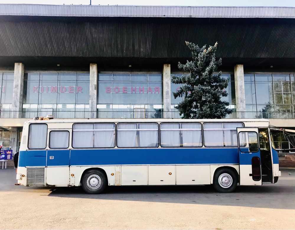 Икарус 256 ретро автобус ретро авто СССР советский ретро