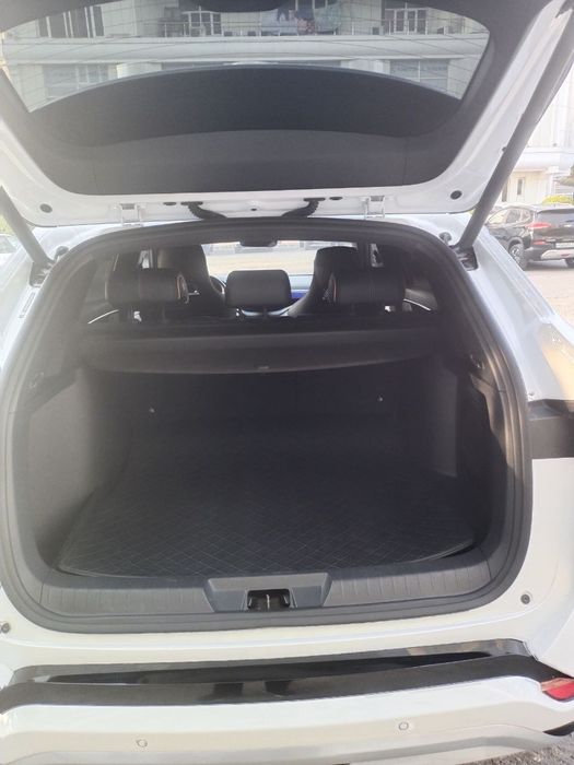 Byd song plus champion 2024