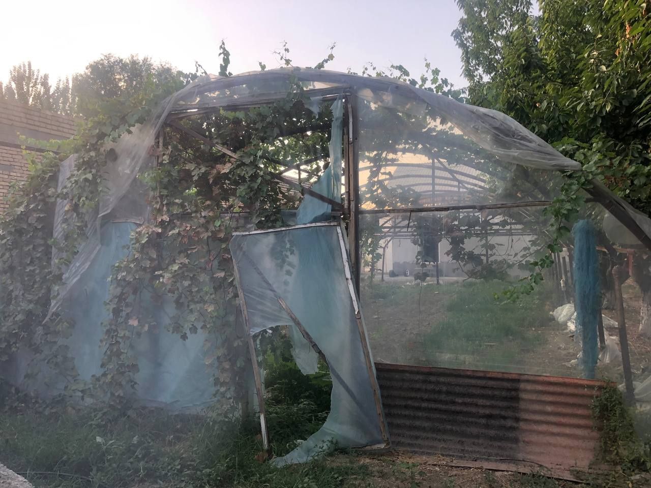 Issiq xona Biznesingiz uchun
